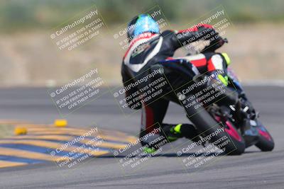 media/Oct-01-2023-SoCal Trackdays (Sun) [[4c570cc352]]/Turn 14 Backside (1120am)/